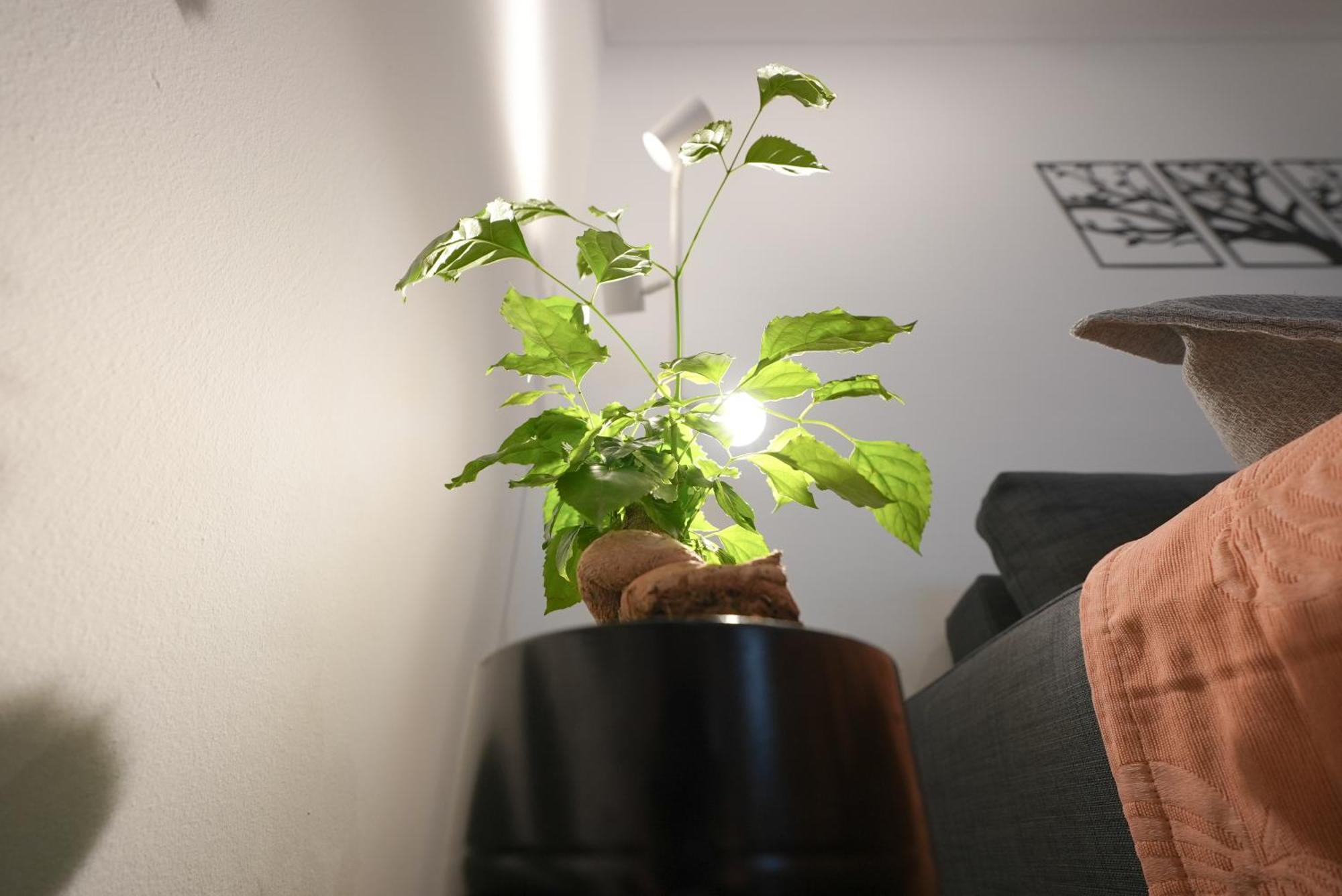 Syntagma Square, 50Sqm Nikis Luxurious Apartment Athen Eksteriør billede